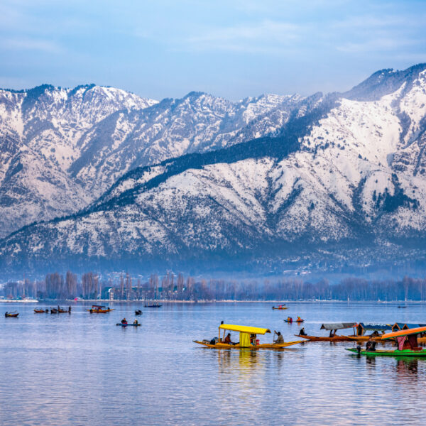 Kashmir Group Tours